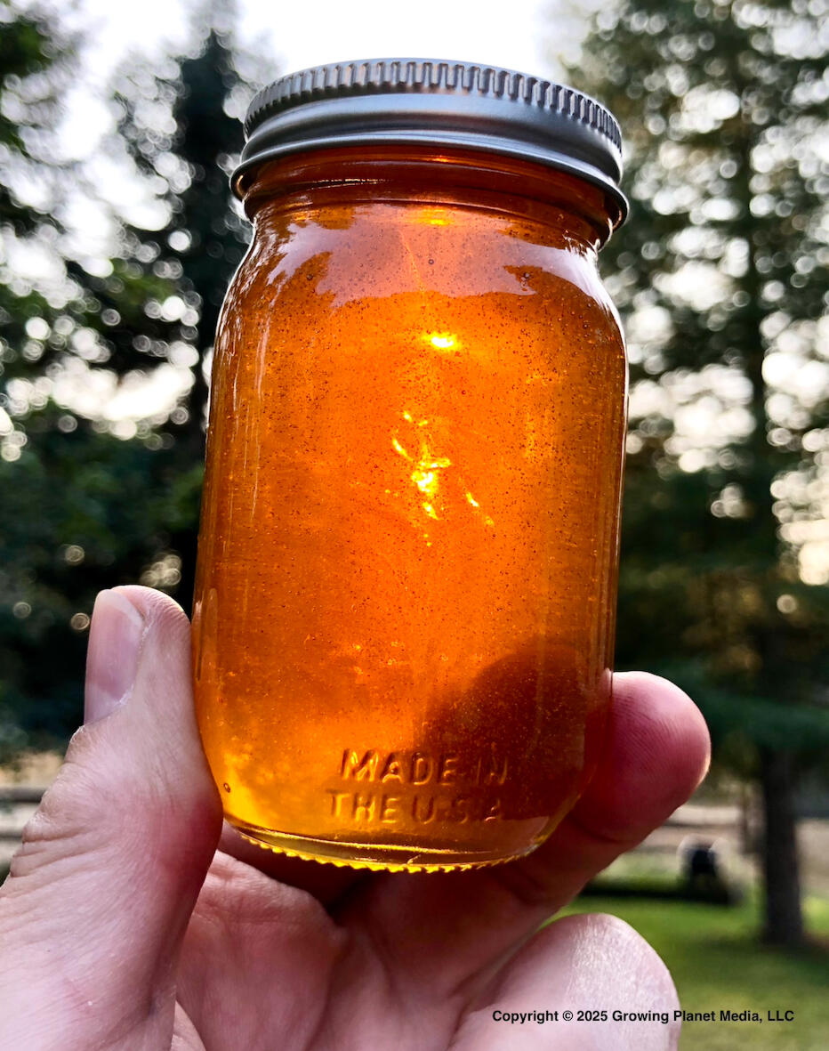 Olympia Honey Co PNW Honey
